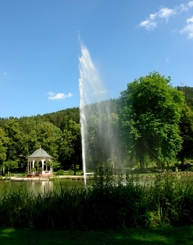 Bad Liebenzell - Kurpark ~ II ~