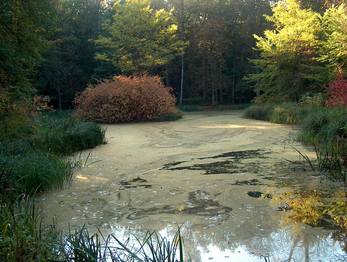 Bad Lippspringe Mersmannteich