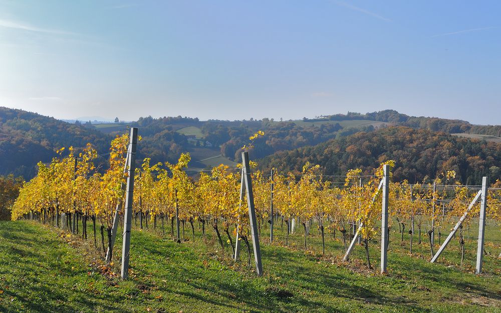 Bad Loipersdorf (Ortsteil Stein)