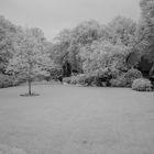 Bad Meingarten in IR