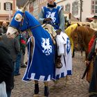 Bad Mergentheim+Pferdemarkt mit Umzug+1