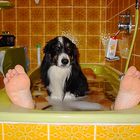 Bad mit Hund