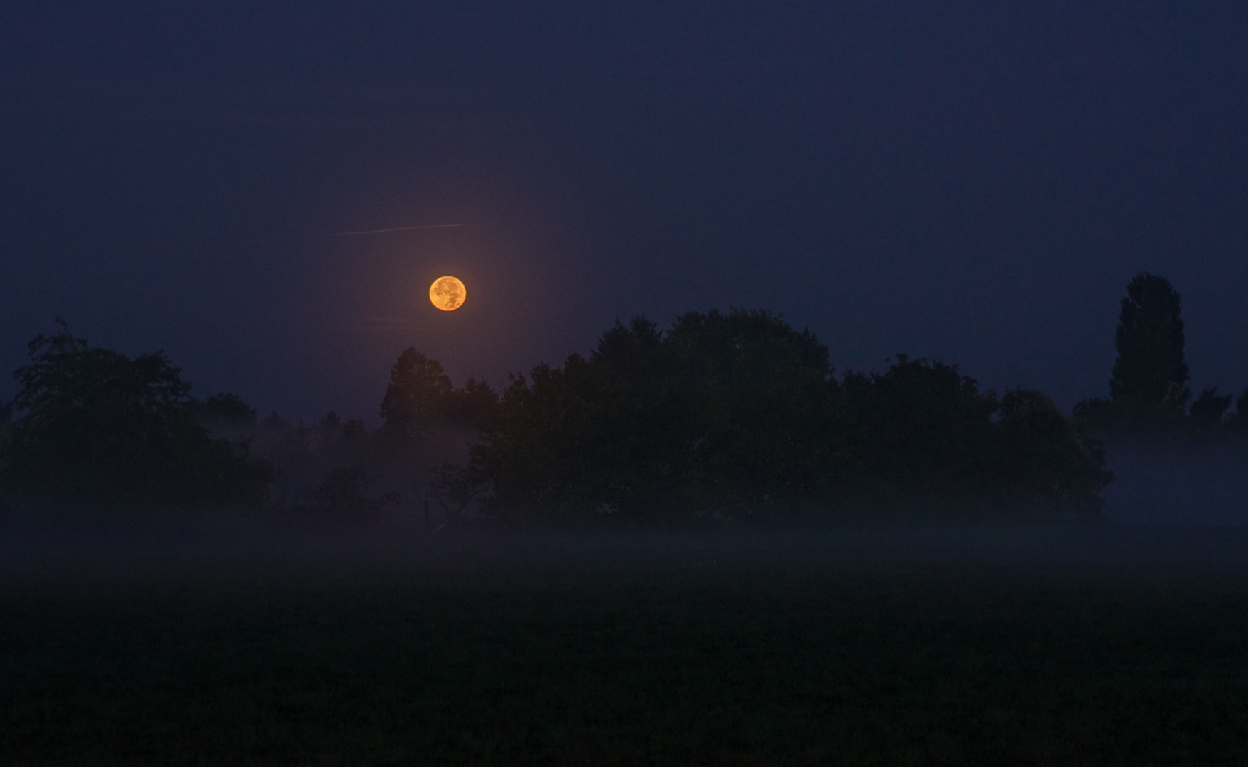 Bad Moon Rising