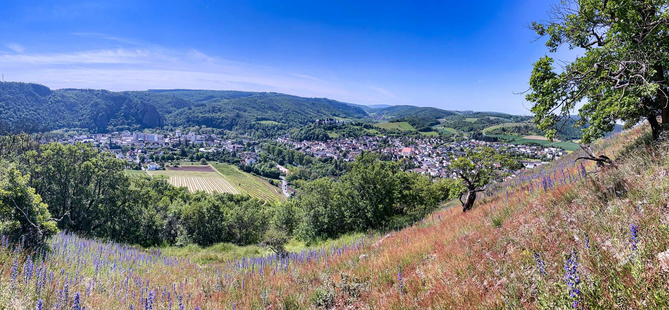 Bad Münster am Stein