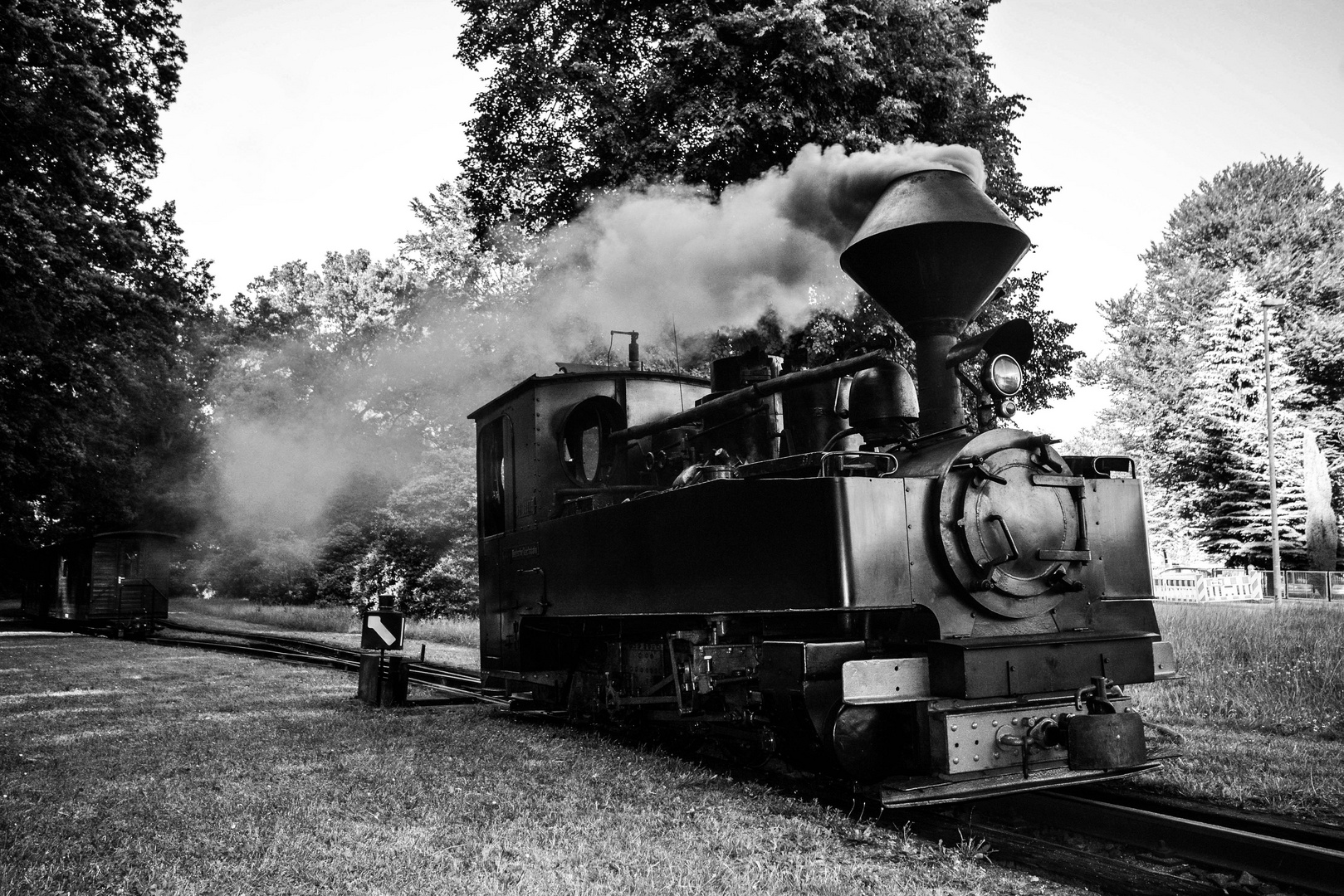 Bad Muskau Dampfeisenbahn