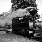 Bad Muskau Dampfeisenbahn