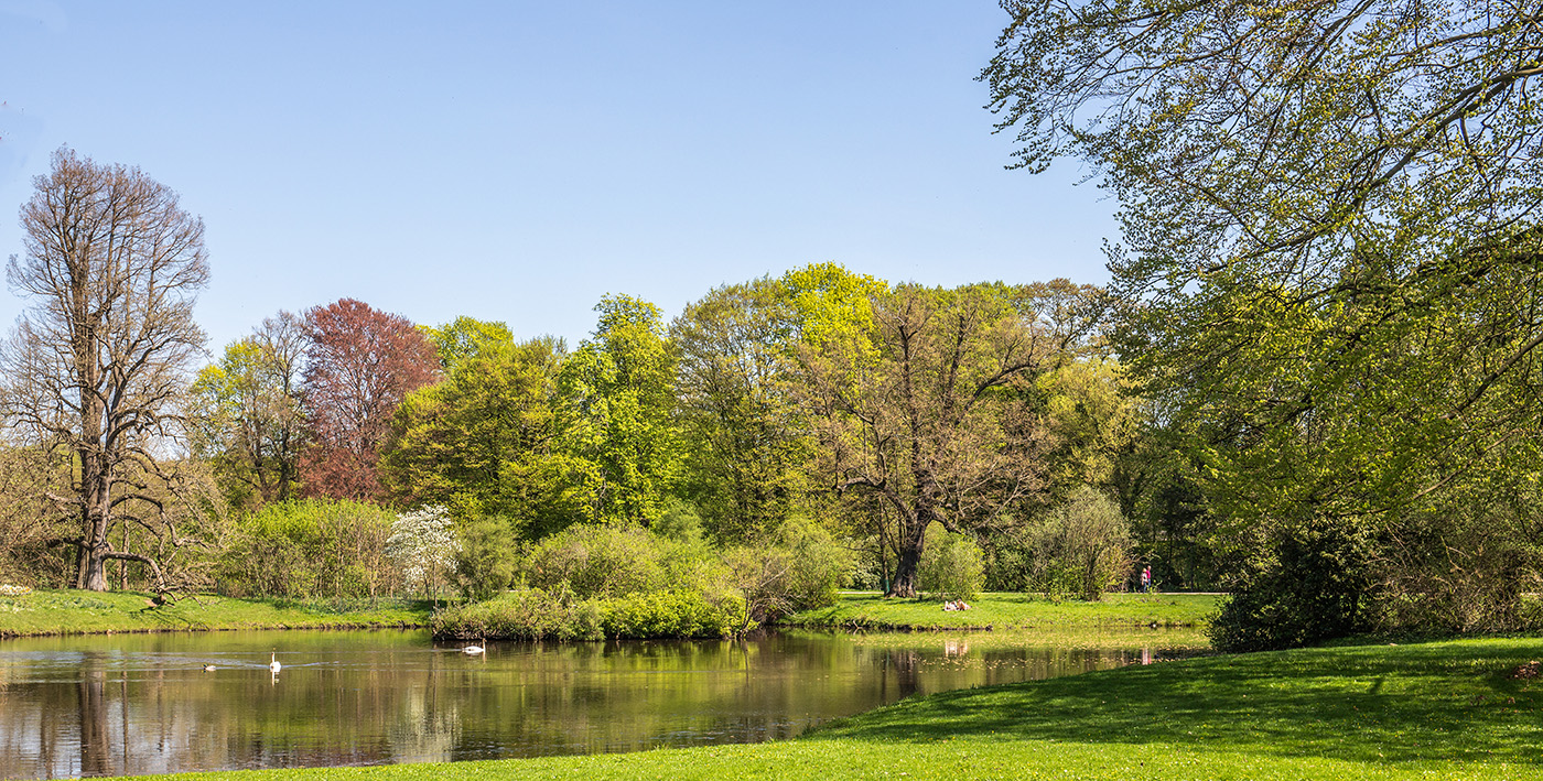 Bad Muskau, der Park Foto & Bild landschaft, garten