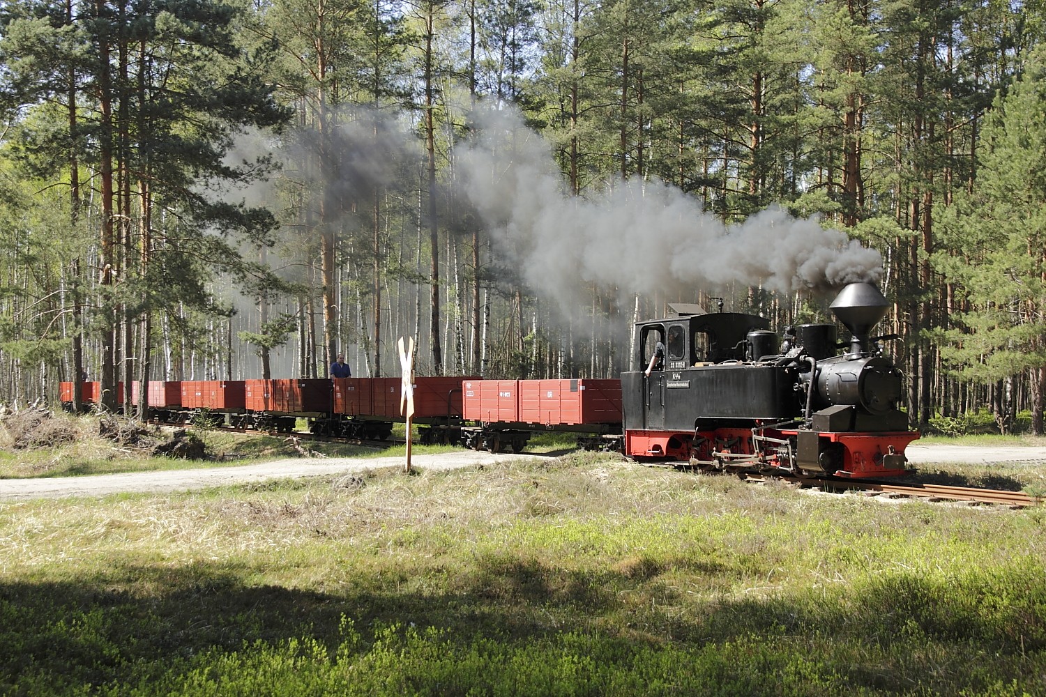 Bad Muskau Waldeisenbahn