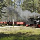 Bad Muskau Waldeisenbahn