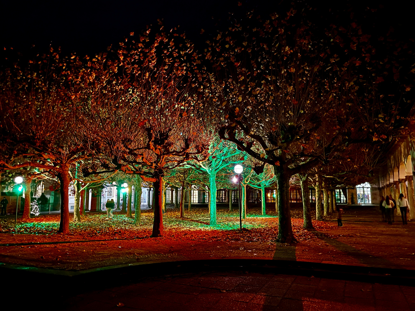 Bad Nauheim leuchtet - Platanenhof