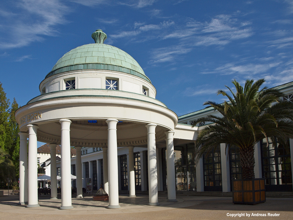 Singleborse bad pyrmont