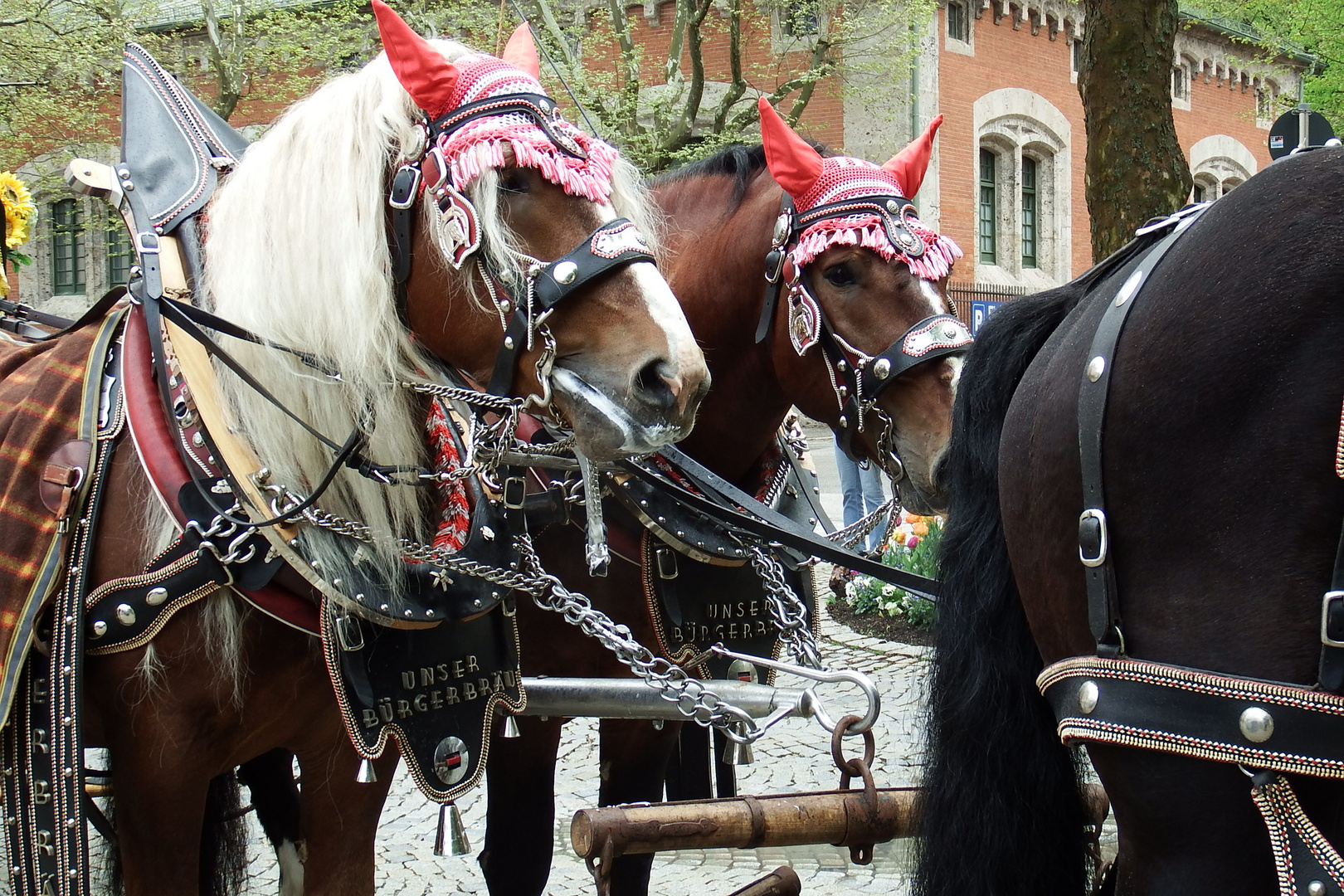 Bad Reichenhall - Impressionen 21