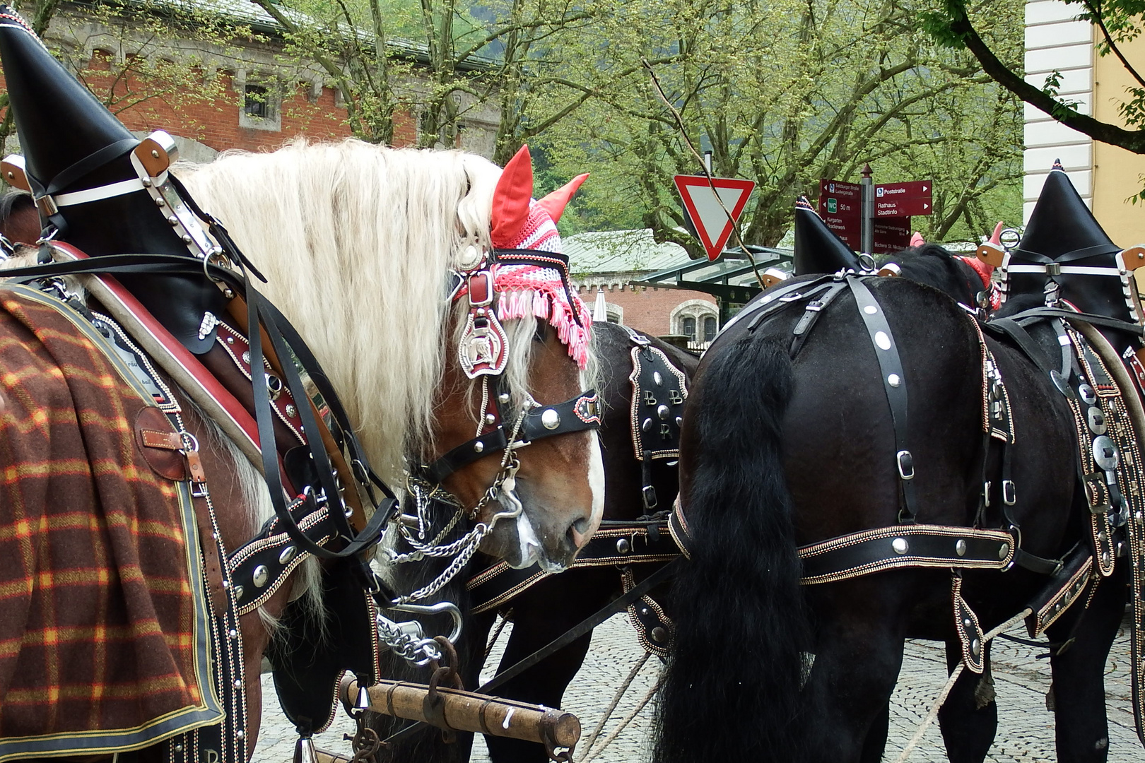 Bad Reichenhall - Impressionen 22