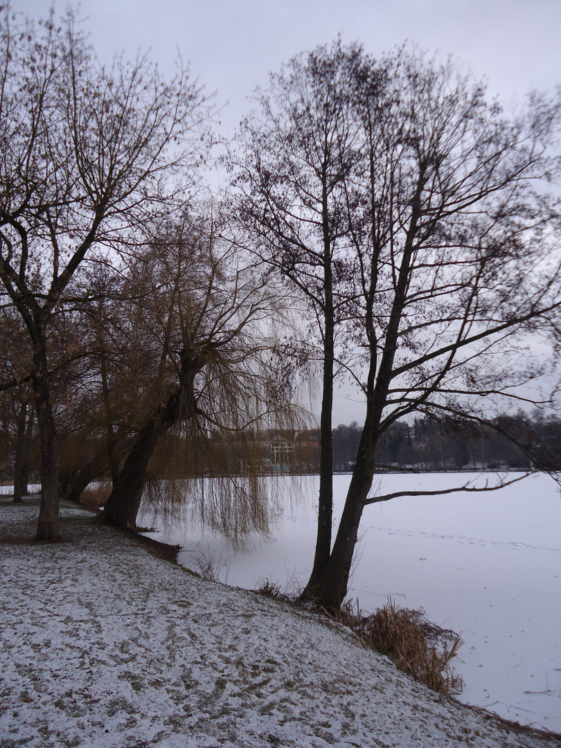 Bad Salzungens Natur im Winter