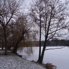 Bad Salzungens Natur im Winter