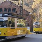 [Bad Schandau] Pendelverkehr I