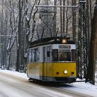 [Bad Schandau] "Winter im Kirnitzschtal"