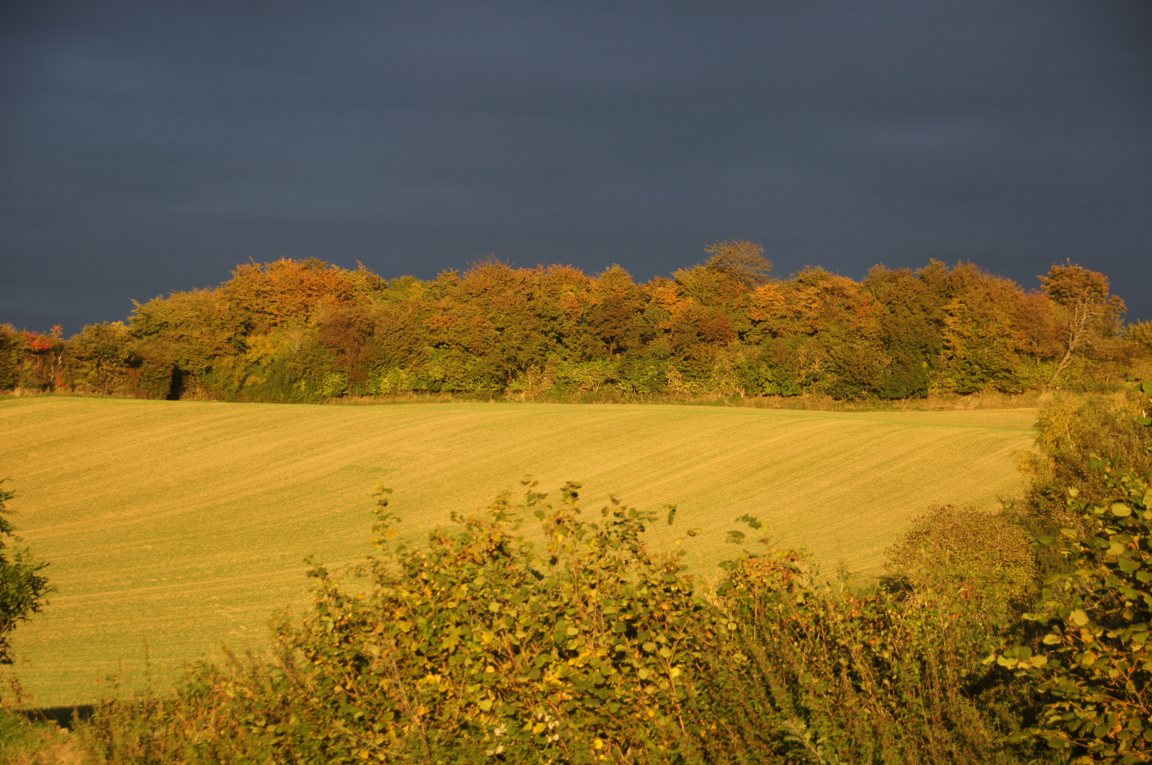 Bad Segeberg Herbst 2013 (1)