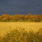 Bad Segeberg Herbst 2013 (1)