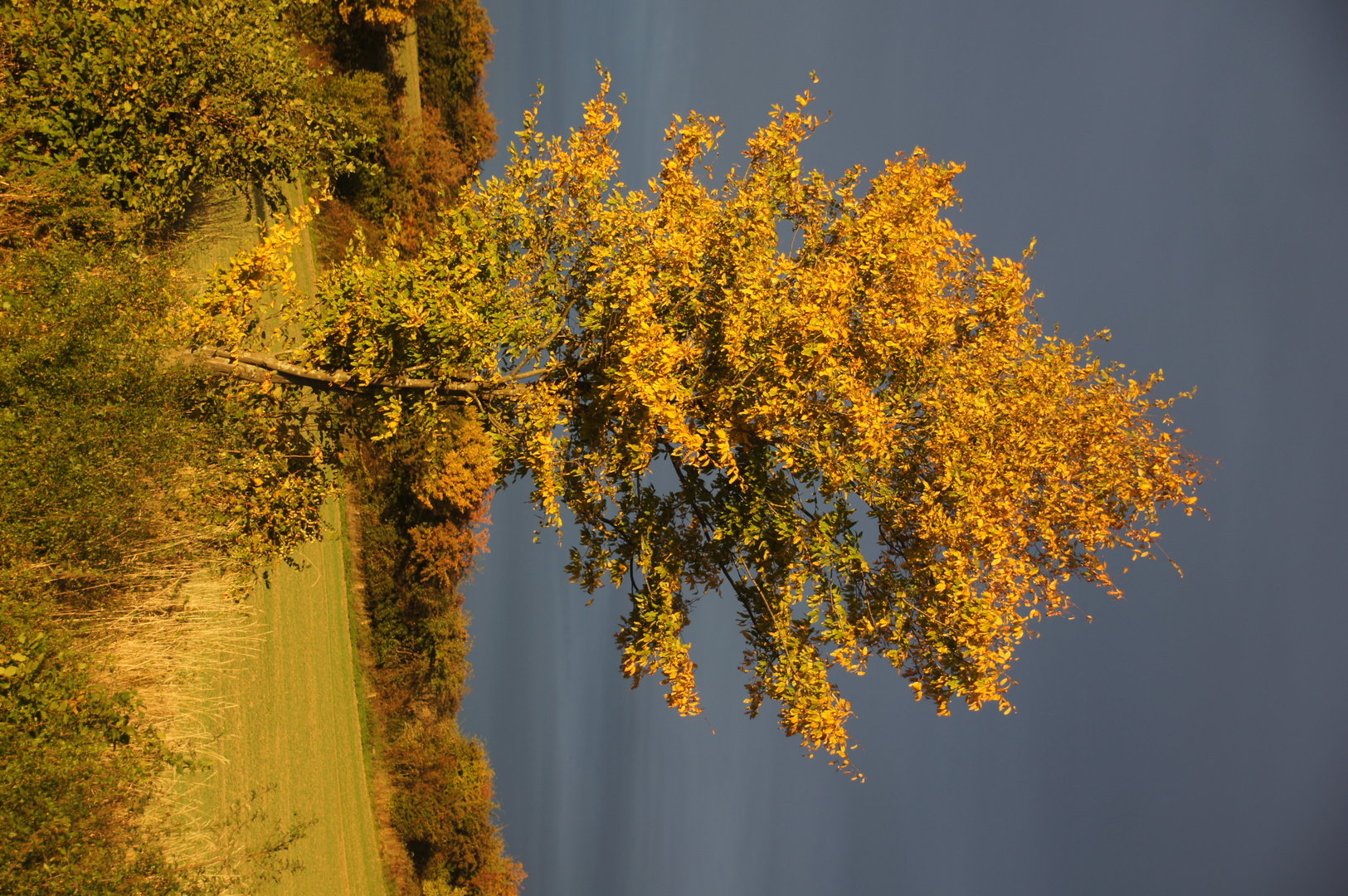 Bad Segeberg Herbst 2013 III