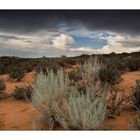 ~ bad sky of Arizona ~