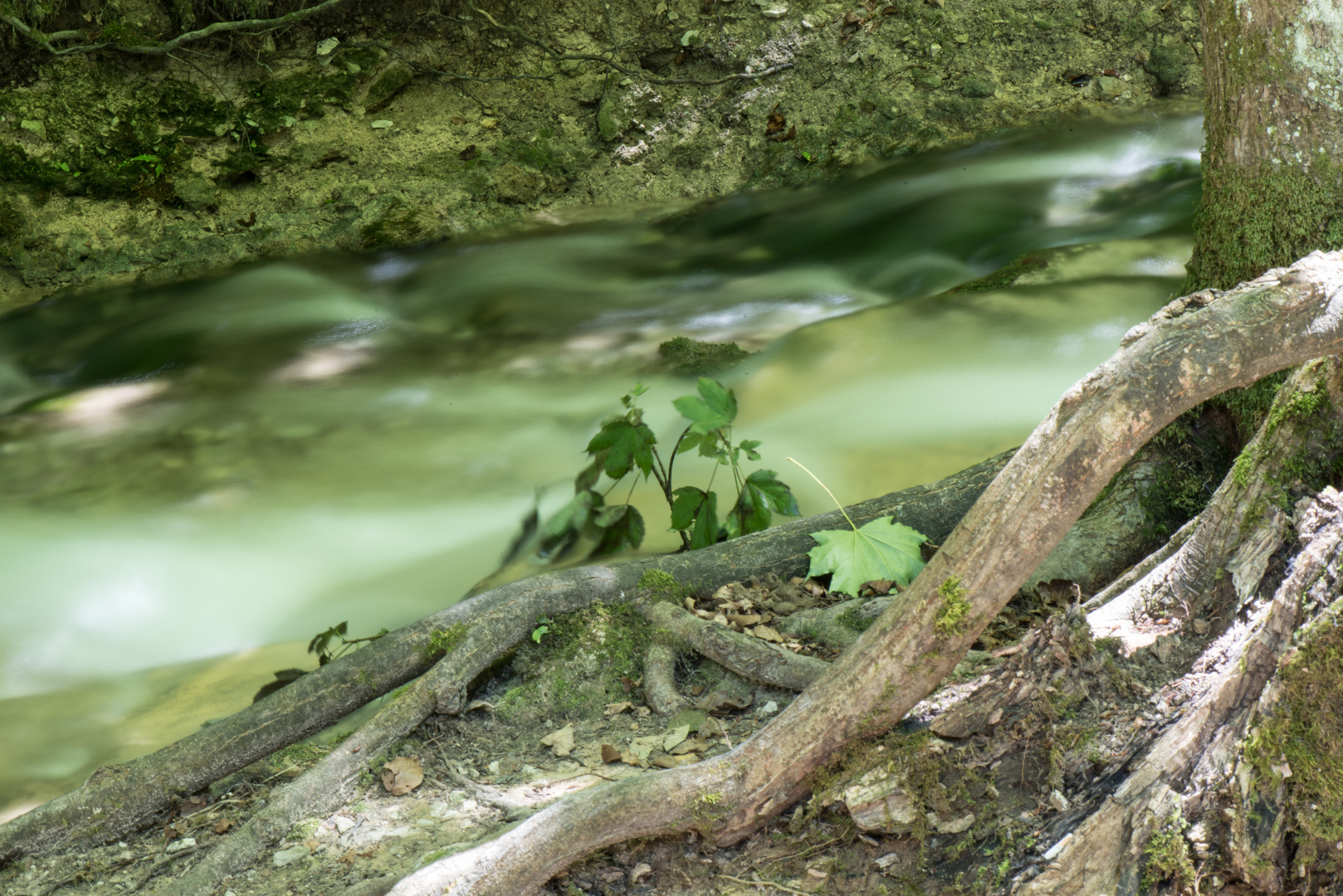 Bad Urach #5