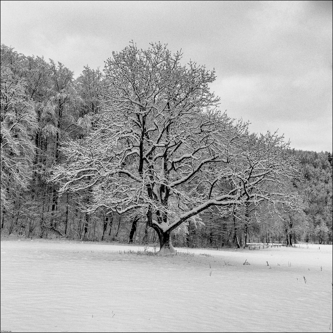 Bad Urach...