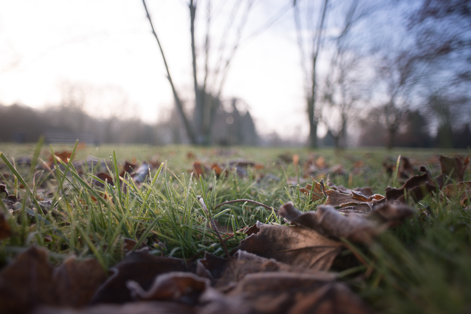 Bad Vilbel Burgpark Wintermorgen