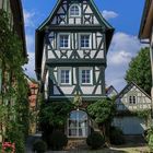 Bad Wimpfen_3