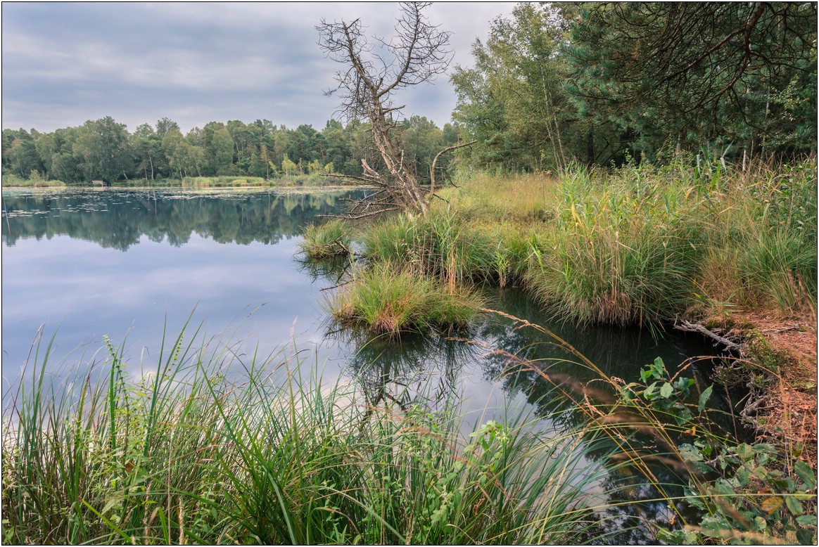 Bad Wurzacher Ried II