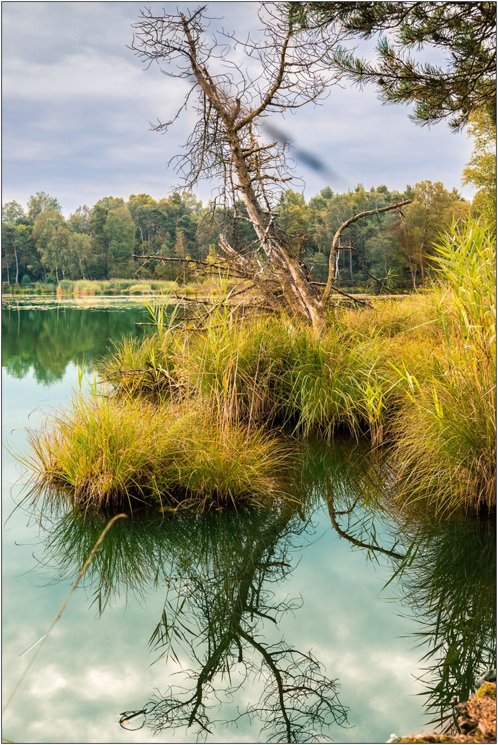 Bad Wurzacher Ried III