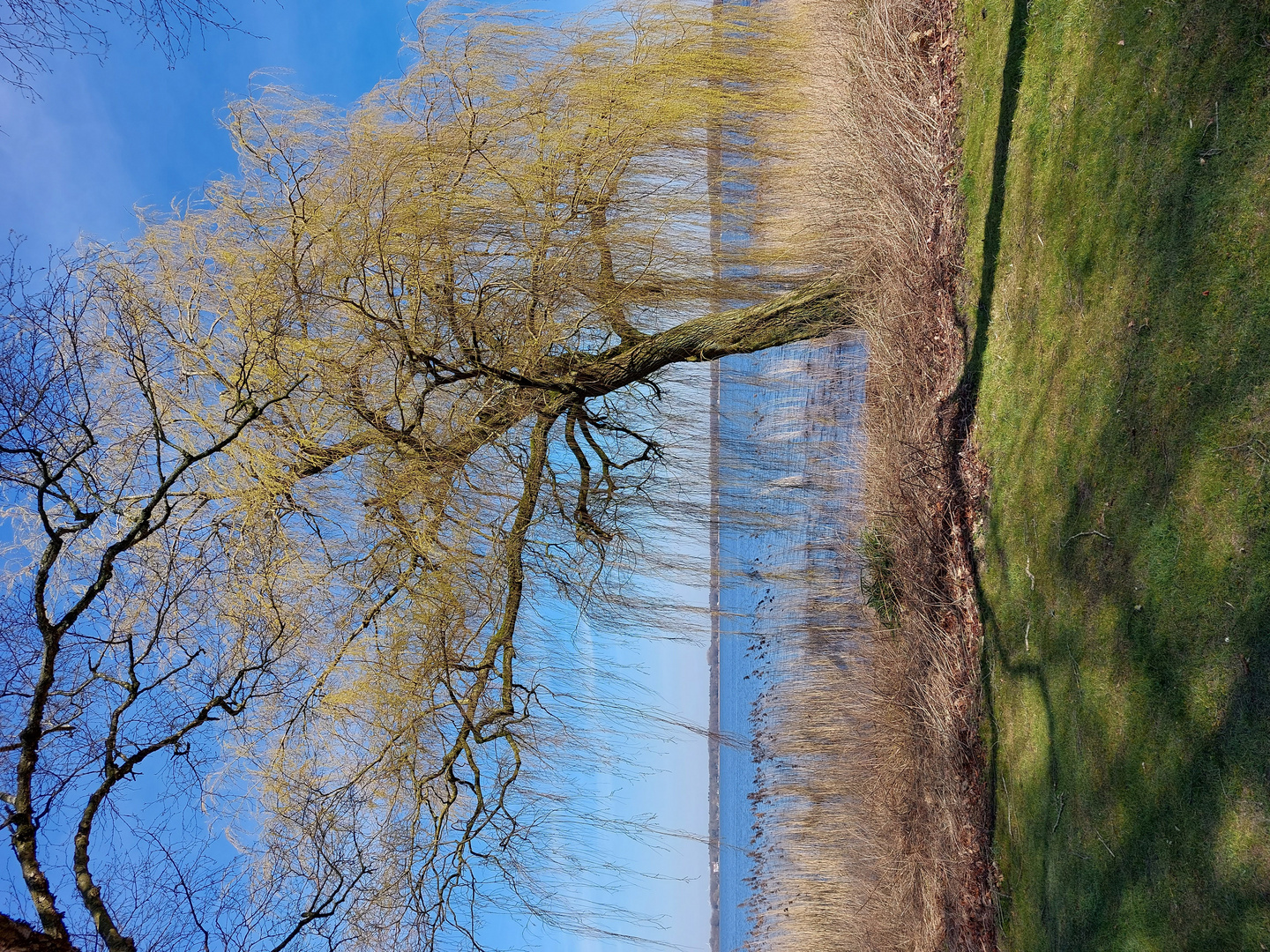Bad Zwischenahn Foto & Bild landschaft, bach, fluss & see, see, teich