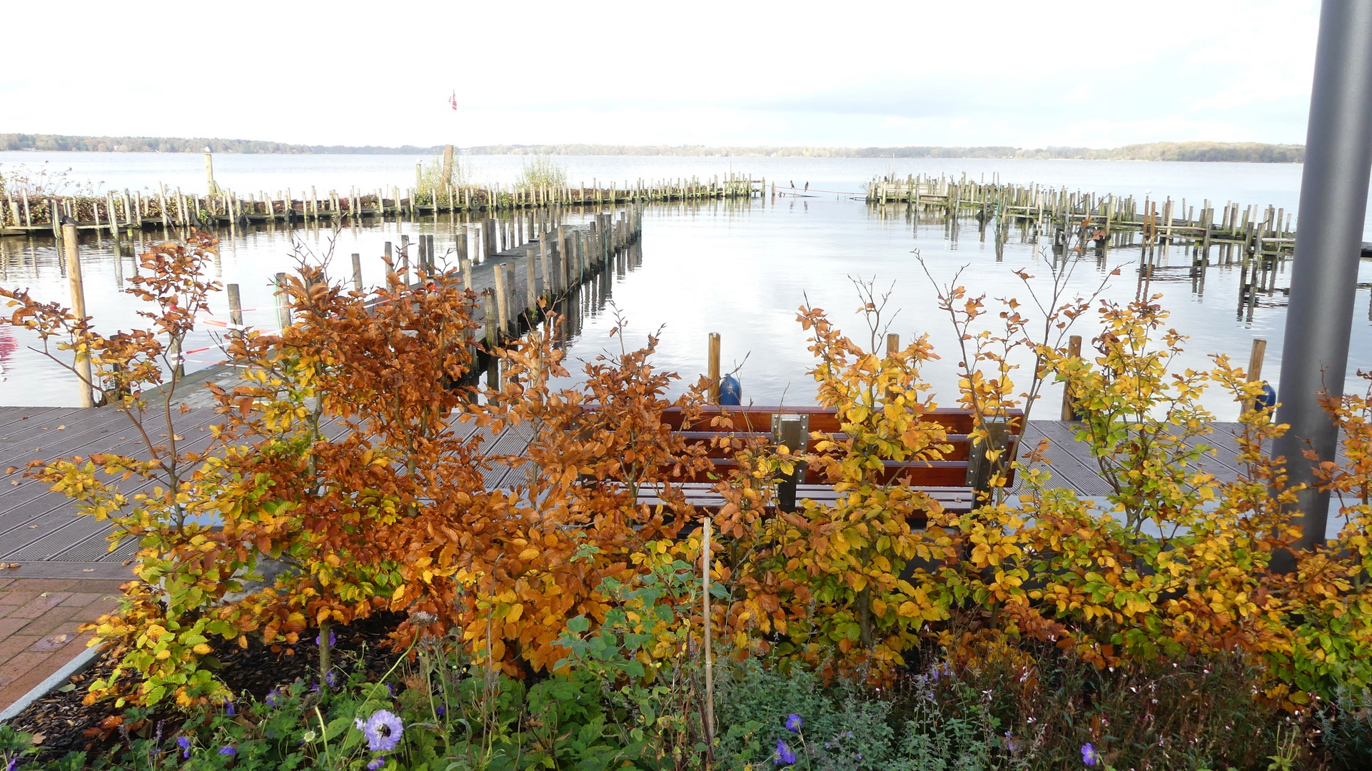 Bad Zwischenahn  -  Blick vom Kurpark über`s Zwischenahner Meer ...