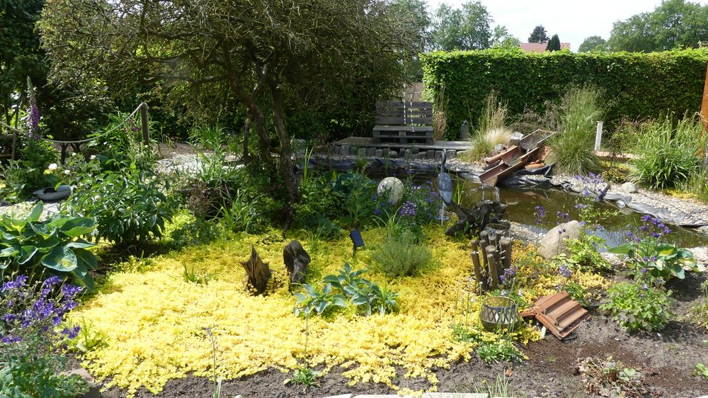 Bad Zwischenahn Eine andere schöne Ecke im Garten Foto & Bild