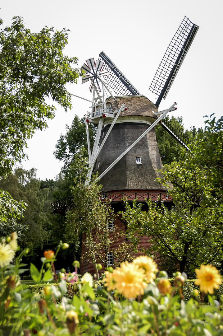 Bad Zwischenahn - Galerieholländer Windmühle -