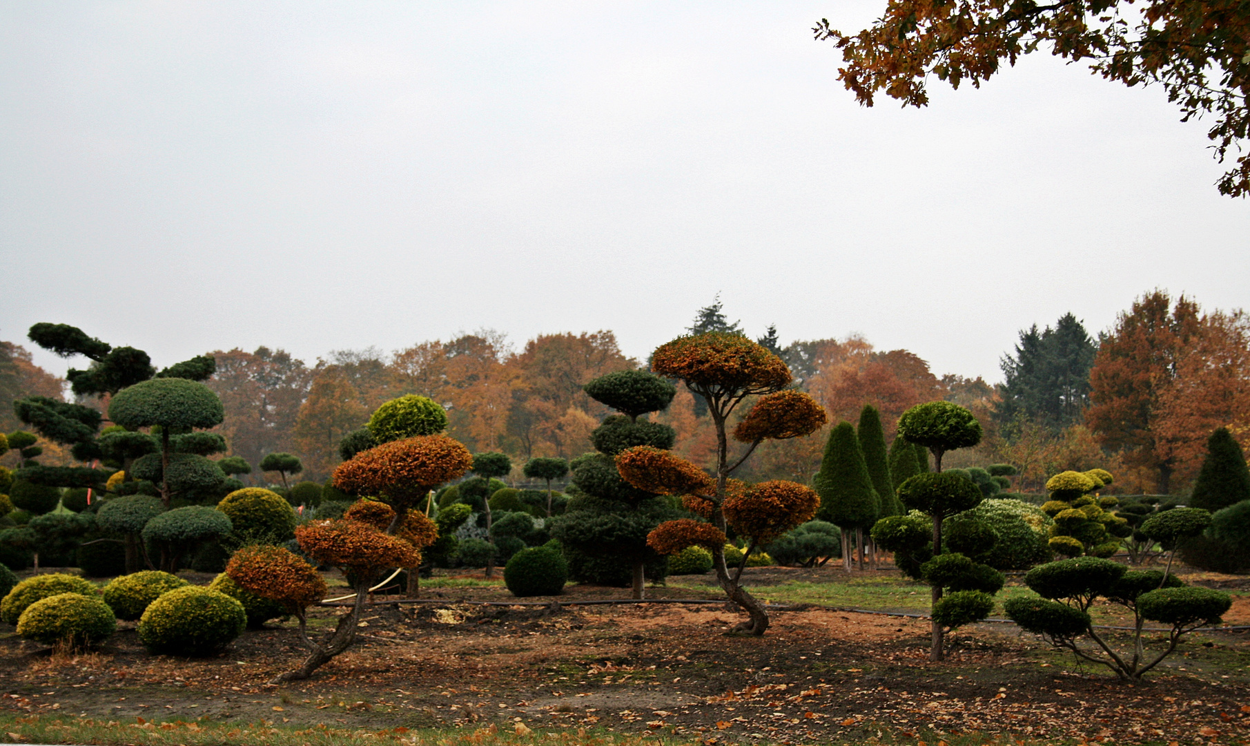 Bad Zwischenahn im Herbst