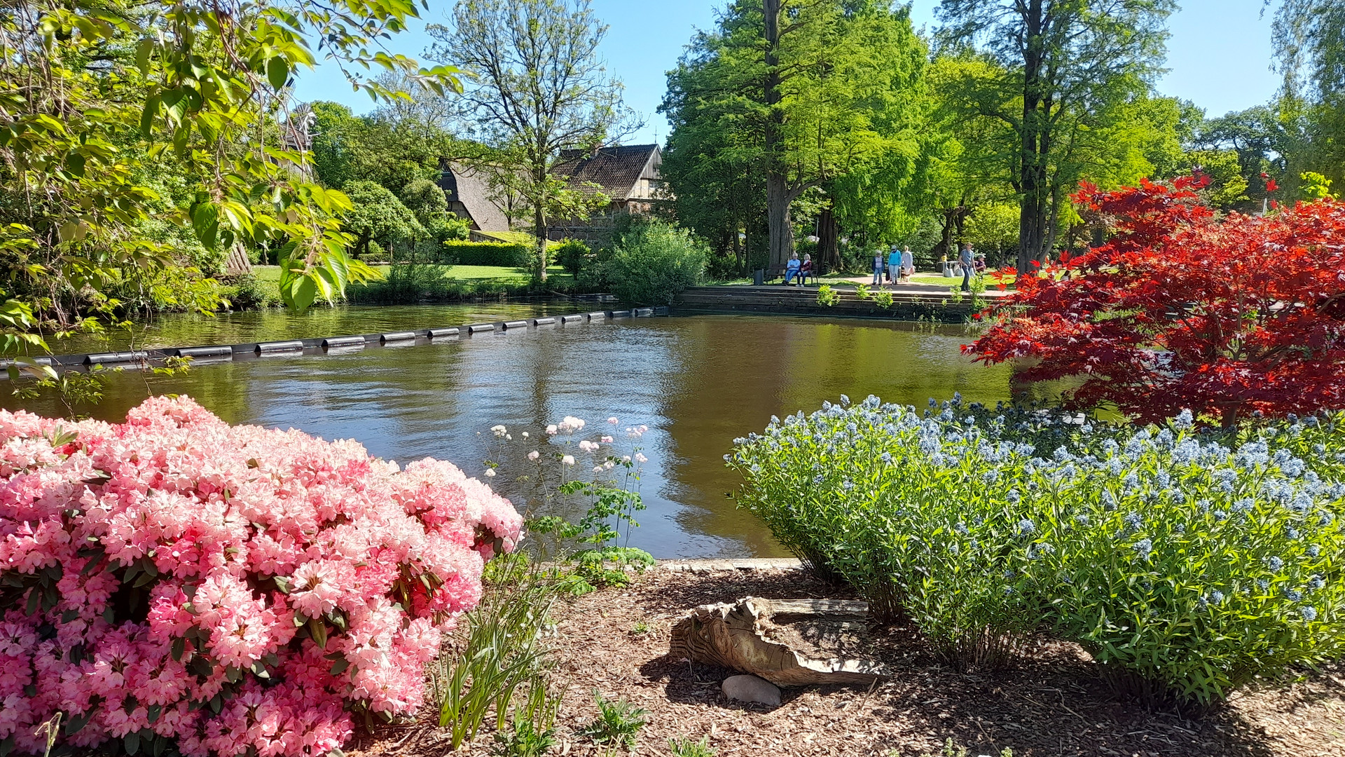 Bad Zwischenahn - Im Kurpark (1) ...