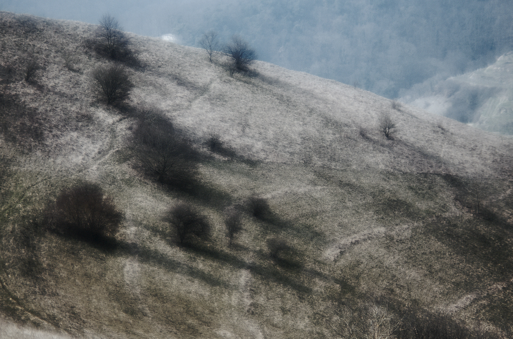 Badberg Erstfrühling