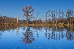 BADE-WEIHER IM DEZEMBER