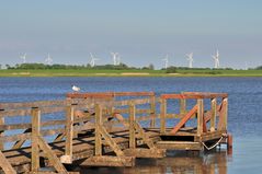 Badebrücke in Tönning