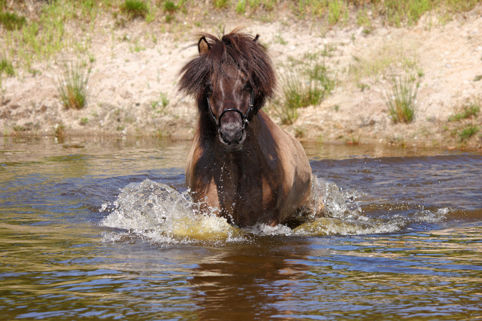 Badefreuden