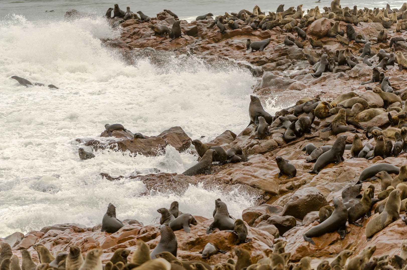 Badegaste Am Strand Von Namibia Foto Bild Wasser Natur Strand Bilder Auf Fotocommunity