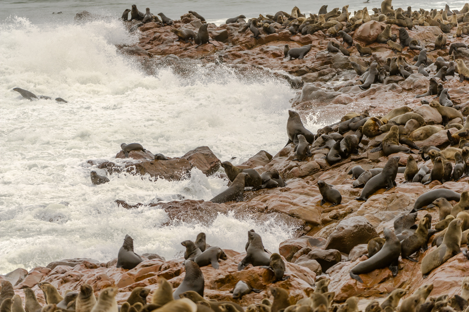 Badegäste am Strand von Namibia