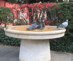 Badegäste am Vogelbrunnen