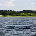 Badeinsel auf der Schlei