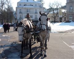 Baden-Baden