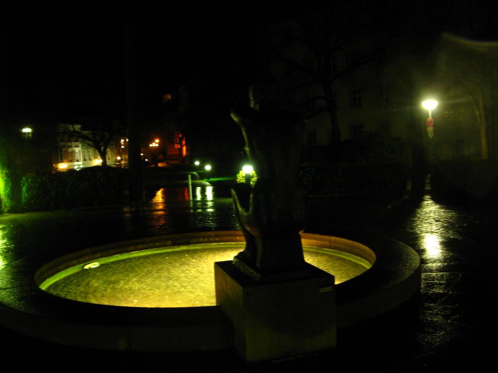 baden-baden bei nacht - einer von vielen brunnen