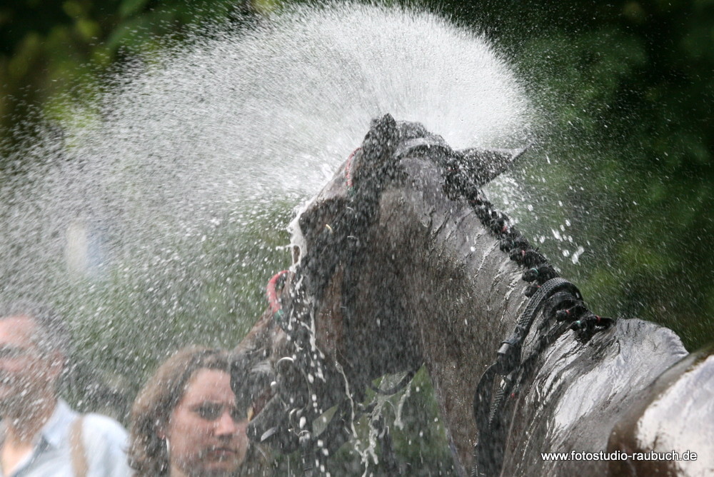 Baden-Baden: Galopper im Regen