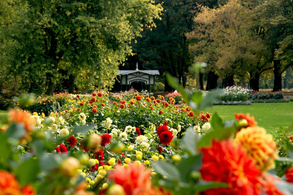 Baden Baden, Herbst 2009