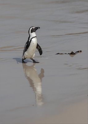 ... Baden beendet ...